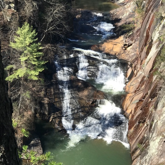 Meet your Posher, Abby - Picture 1 of 1